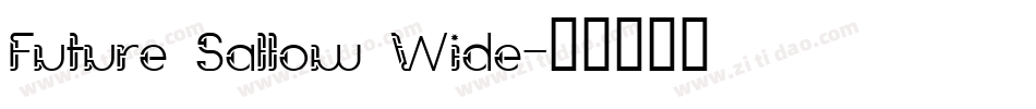 Future Sallow Wide字体转换